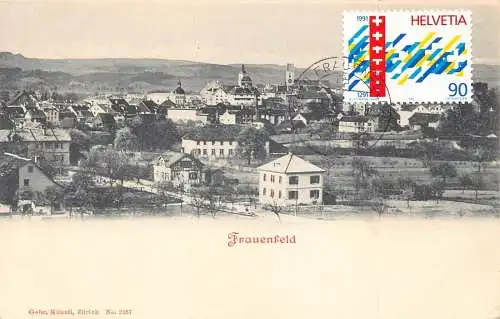 L299 Schweiz Frauenfeld Vintage Postkarte