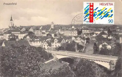 L299 Schweiz Frauenfeld Panoramablick Vintage Postkarte