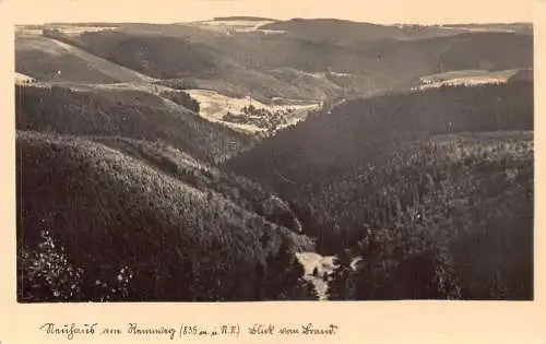 Deutschland Luftkurort Neuhaus Rennweg Tal Wald Vintage Postkarte
