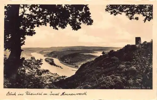 Deutschland Blick ins Rheintal Insel Nonnenwerth Vintage Postkarte