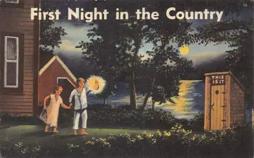 A989 USA Erste Nacht auf dem Land Mondlicht Paar Garten Toilette Postkarte