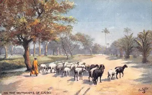 A999 Ägypten am Rande von Kairo Schafherde Bauer Vintage Postkarte