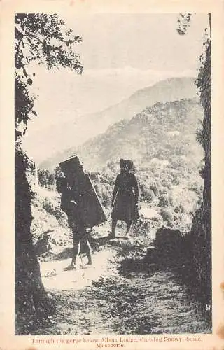 A994 Indien Mussoorie Durch die Schlucht unterhalb der Albert Lodge Snowy Range Postkarte