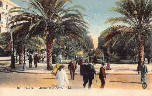 Tunesien Tunis Avenue Jules-Fährbäume Vintage Postkarte