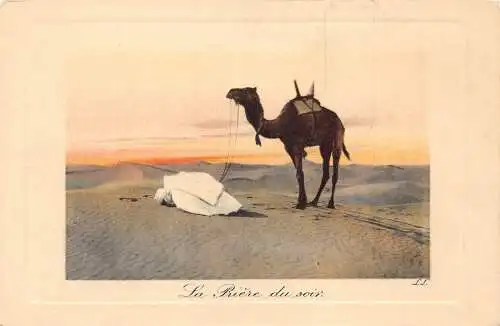 Tunesien Szenen und Typen La Priere du Soir Kamel Dessert Beduinen betende Postkarte