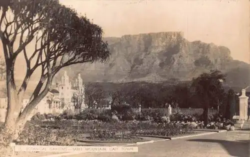 Südafrika Kapstadt Tafelberg Botanischer Garten Vintage Postkarte