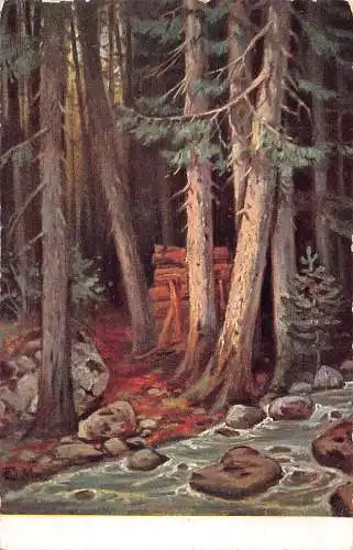 A197 Landschaft 1911 Kiefern Wald Felsen Fluss Vintage Postkarte