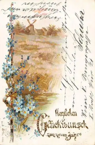 A196 Neujahrsgrüße Vergissmeinnicht Blumen 1902 Windmühle Vintage Postkarte