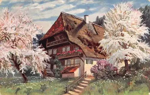 A199 Deutschland 1910 Schwarzwald Haus Blumen blühende Bäume Vintage Postkarte