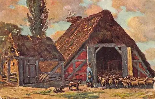 A202 Countryside 1908 Shepherd Dog Sheeps Farm Vintage Postkarte
