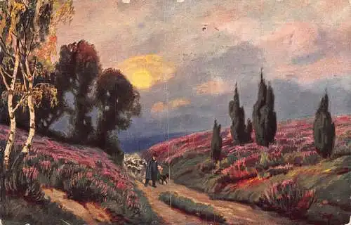 A202 Perspektive 1911 Schafe kehren nach Hause zurück Hirte Sonnenuntergang Blumen Postkarte