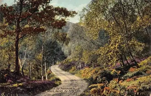 A032 Schottland In den Trossachs Wo sich der Weg windet Forststraße Postkarte