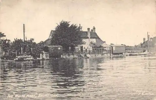 A033 England Broad Oak, Rother The White Hart Vintage Postkarte
