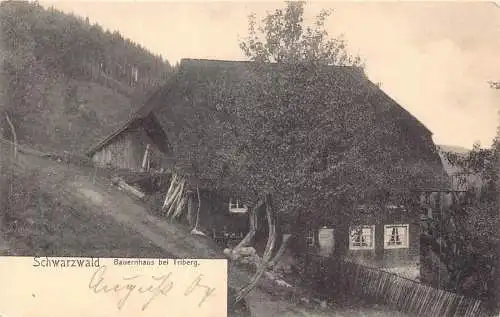 L303 Deutschland Schwarzwald Bauernhaus bei Triberg Vintage Postkarte