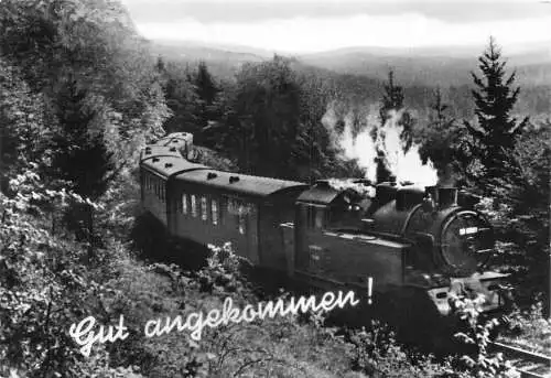 Transport Dampflok Lok Landschaft Gut Angekommen RPPC Vintage Postkarte