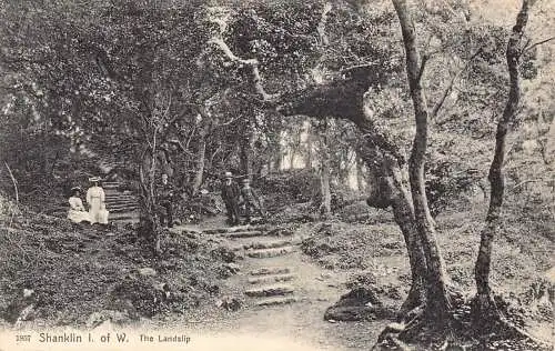L069 IoW Shanklin The Landslip Postkarte