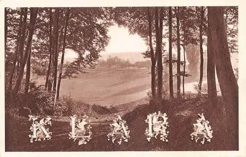 L175 Klara Name Großbuchstaben Cherubim Blumenwald Vintage Postkarte