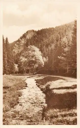 A063 Deutschland 1936 Raeurberstein Silbergraben Obernhof Flusswald Postkarte