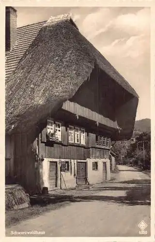 L166 Deutschland Schwarzwaldhaus Haus Schwarzwald RPPC Vintage Postkarte