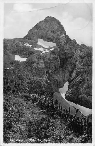 L166 Deutschland 1939 Feldpost WWII Trettachspitze Allg Alpen Berggipfel Postkarte