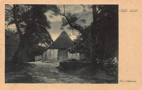 L318 Deutschland Stille Nachthaus Bäume Mondschein Th u O Hofmeister Postkarte