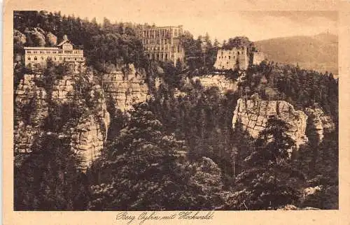 L311 Deutschland 1931 Berg Oybin mit Hochwald Wald Vintage Postkarte