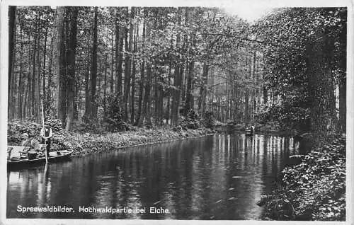 L311 Deutschland 1929 Spreewaldbilder Hochwaldpartie bei Eiche Boot Wald Postkarte