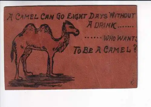 A067 Neuheit Comic Humor Kamel kann acht Tage ohne Trinken Leder Postkarte