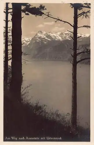 A085 Schweiz 1929 Am Weg nach Axenstein Urirostock Bergsee Postkarte