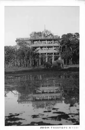 L406 Kenia Treetops Nyeri Hotel Elefanten Echtfoto Postkarte