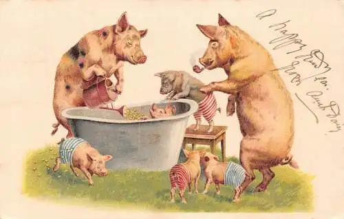L348 Grüße 1903 Humanisierte Schweine Badezeit Ferkel Comic Vintage Postkarte