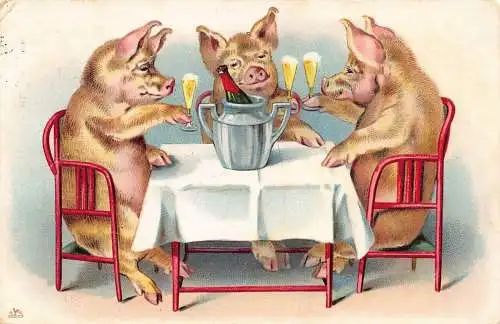 L348 Grüße 1905 Humanisierte Schweine trinken Champagner Comic Vintage Postkarte