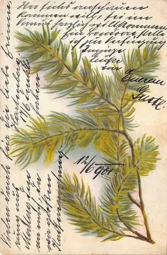 A091 Weihnachtsgrüße 1901 Tannenzweig Zweig Litho Vintage Postkarte