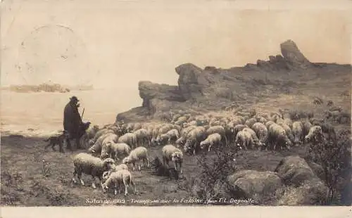 A091 Ausstellung 1909 Schafherde auf Klippe Schäferhund mit Hund Vintage Postkarte