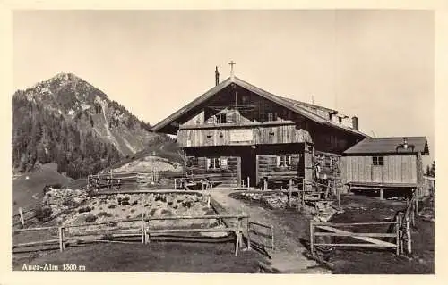 L343 Deutschland Auer-Alm Berg 1300m Holz Hütte Zaun RPPC Vintage Postkarte