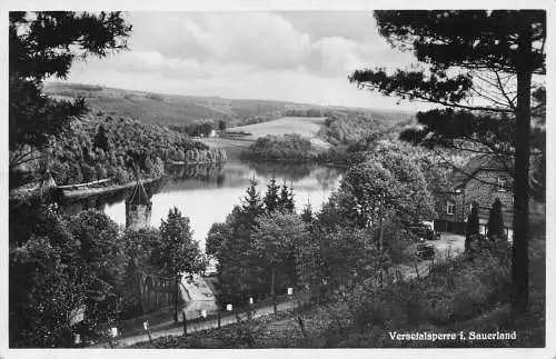 A102 Deutschland Versetalsperre i Sauerland Bäume See RPPC Vintage Postkarte