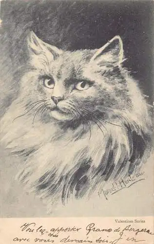 L078 Katze Perser 1904 signiert Muriel Hunt Fantasy Postkarte