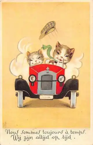 L078 Katzen fahren Cabrio Auto 1950 Fantasy signiert Oldtimer Postkarte