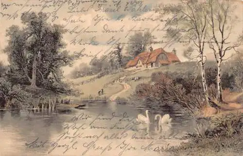 Malerische Landschaft 1903 Cottage in der Nähe von See im Wald Paar Schwäne Postkarte