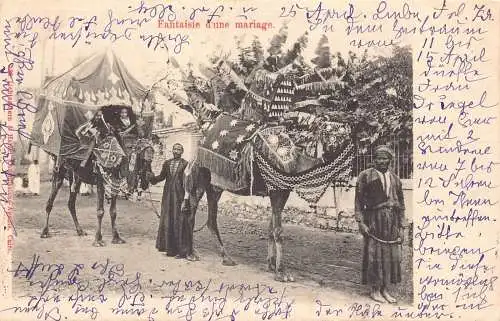 L037 Ägypten 1902 Fantasie eines Hochzeitskamels Vintage Postkarte