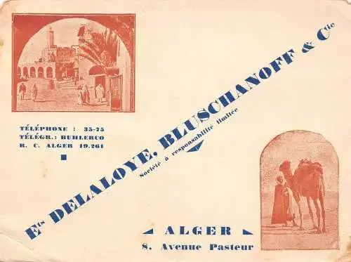 L037 Algerien Alger Werbekarte Kamel