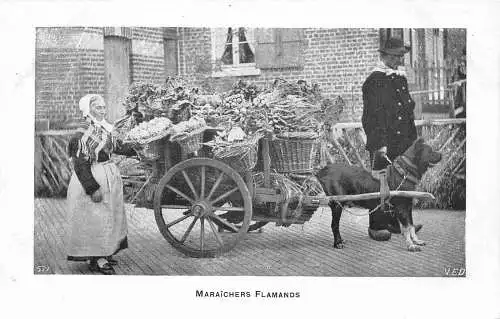 L036 Flämischer Markt Gärtner Verkäufer Hundewagen Vintage Postkarte