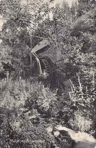 L217 Deutschland 1913 Mühle im Schwarzwald Wassermühlenmann Vintage Postkarte