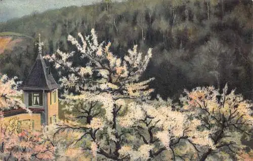 A096 Gemälde 1907 Blüte Zweige der Bäume Landschaft Vintage Postkarte
