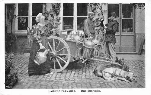L037 Belgien Flämische Milchverkäufer Hundewagen Kontrolle Vintage Postkarte