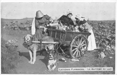 L036 Flämische Milchverkäufer Hundewagen Milchtaufe Postkarte