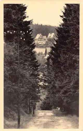 Deutschland Waldblick nach Oberbaerenburg Erzgeb Wald Vintage Postkarte