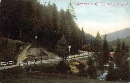 Deutschland Wildemann i H Partie im Spiegeltal Vintage Postkarte