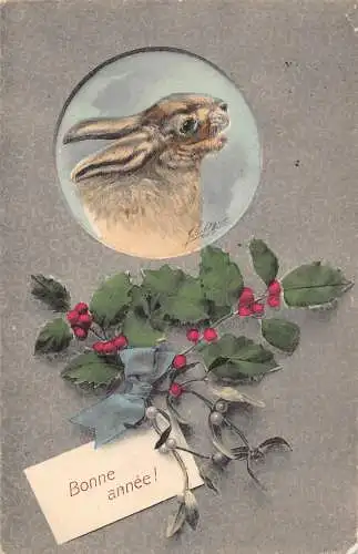 L375 Neujahrsgrüße 1905 Hase Mistel Vintage Postkarte