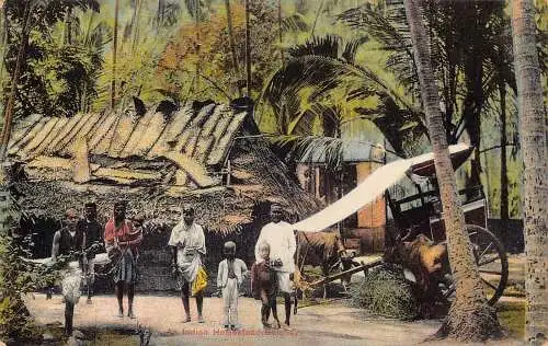 L378 Indien Ein indisches Gehöft Bombay Kinder Jungen Palmen Postkarte